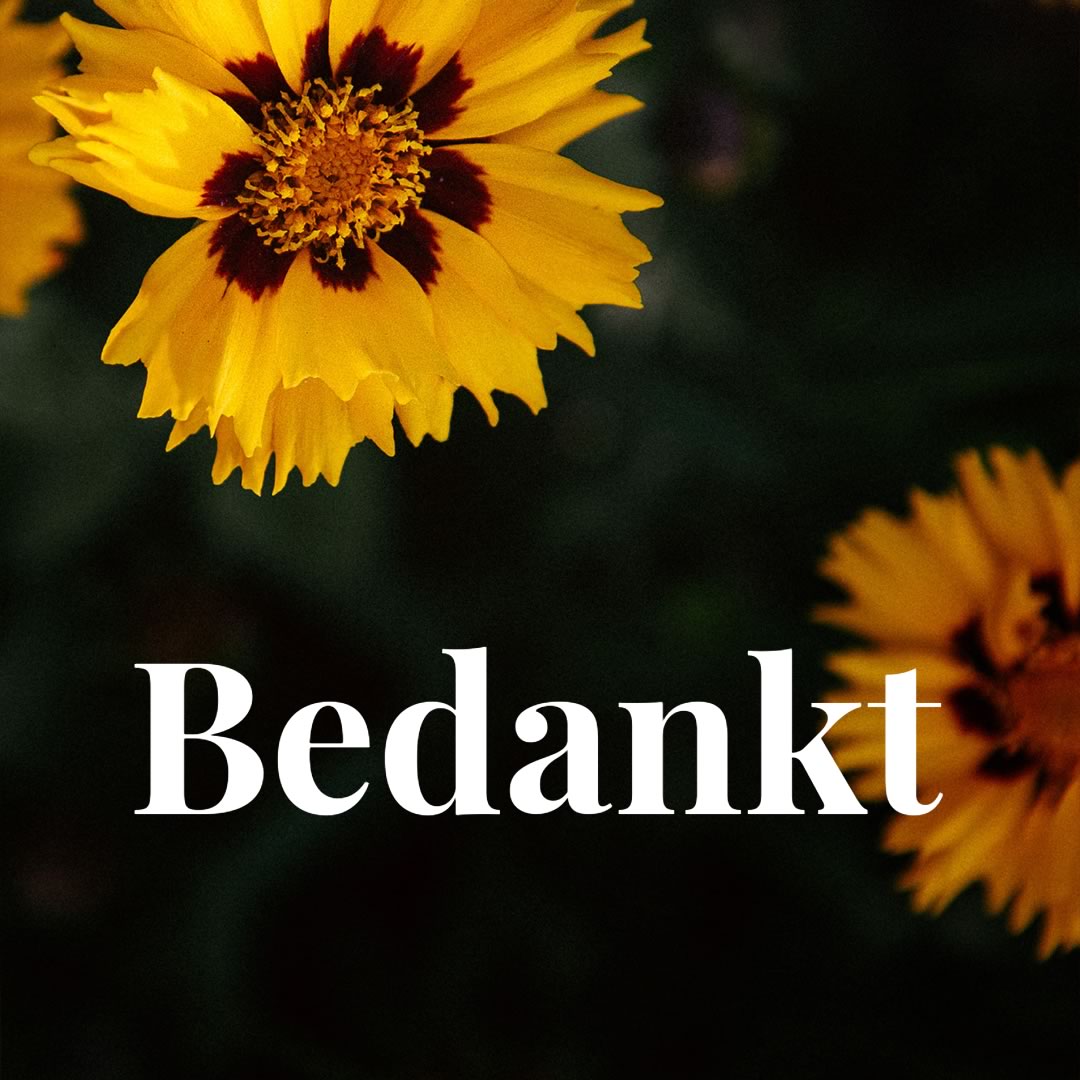 Kleurrijke bloemen als een levendige bedankje. gele bloem op donkere achtergrond met woord: bedankt
