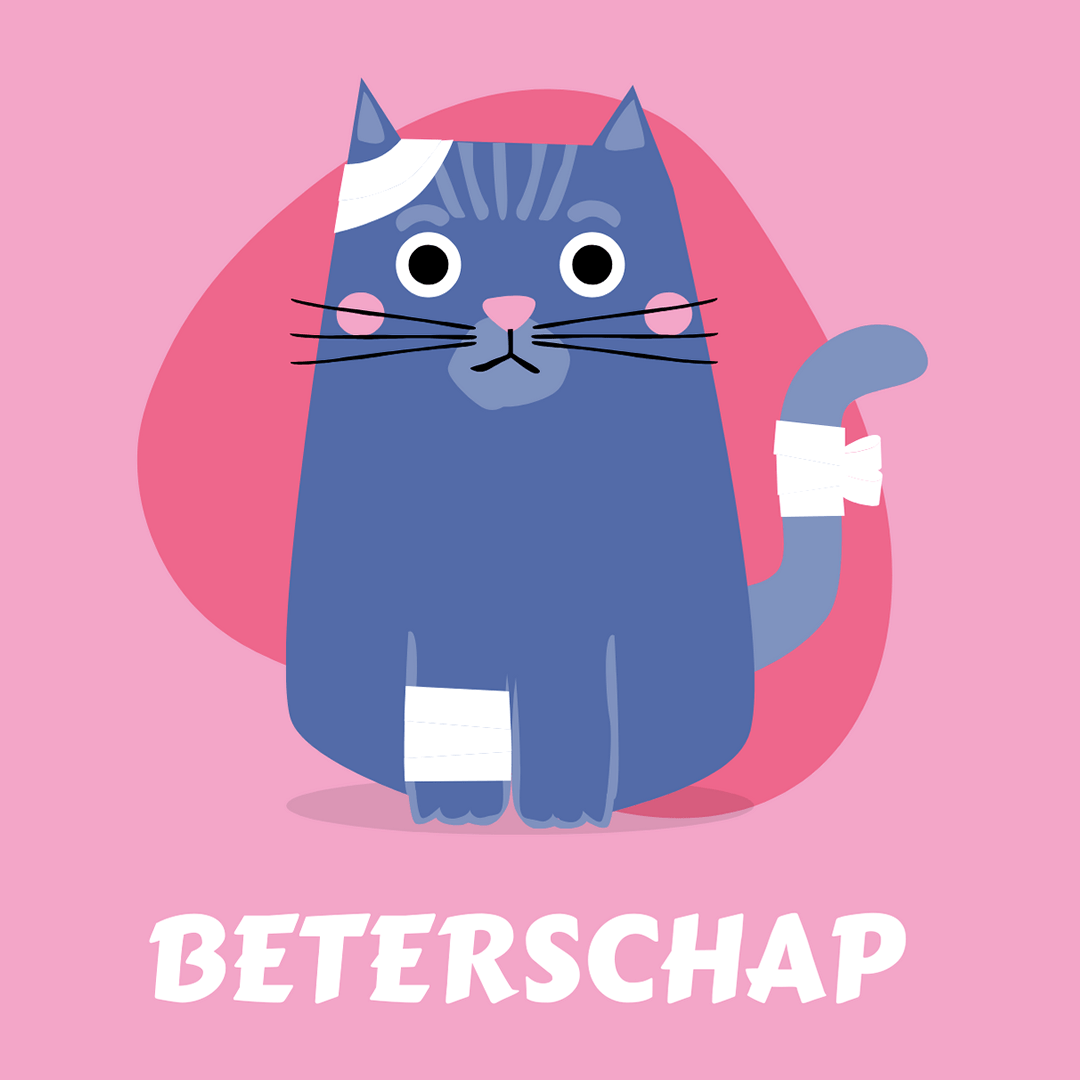 Ondanks zijn kleine ongelukjes, houdt deze kat zijn kopje hoog. Sterkte en snel beter worden! cartoon kat met verband en tekst: beterschap