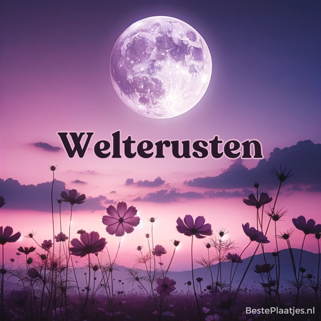 Welterusten plaatje